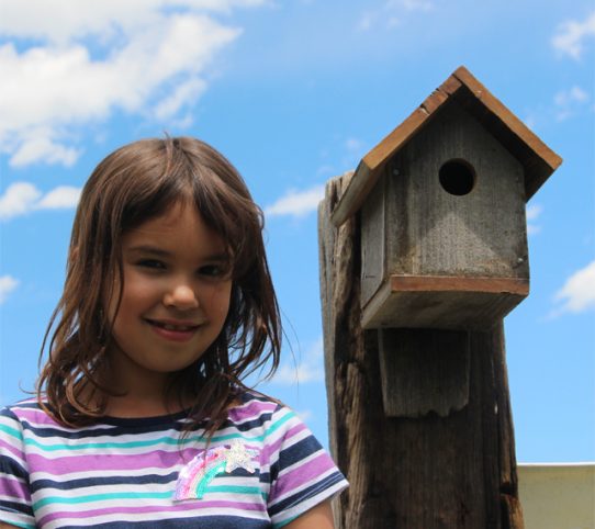 Bird Houses by Home Built Workshop